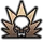 Ability Icon Icon