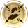 Hero Skill Icon