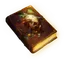 Tome Icon Icon