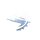 Ability Icon Icon