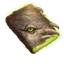 Tome Icon Icon