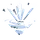 Ability Icon Icon