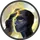 Ability Icon Icon