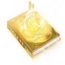 Tome Icon Icon