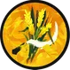 Spell Icon Icon