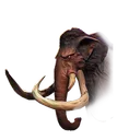 Equipment Icon