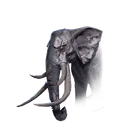Equipment Icon
