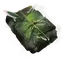 Tome Icon Icon