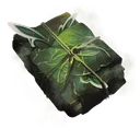 Tome Icon Icon