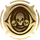 Hero Skill Icon