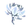 Ability Icon Icon