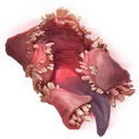 Tome Icon Icon