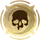 Hero Skill Icon