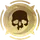 Hero Skill Icon