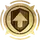 Hero Skill Icon
